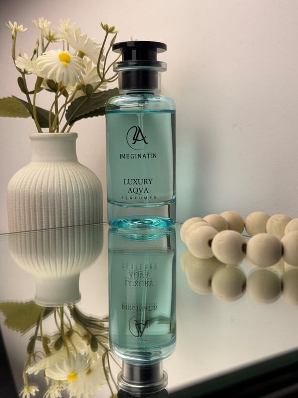 لویی ویتون ایمجینیشن