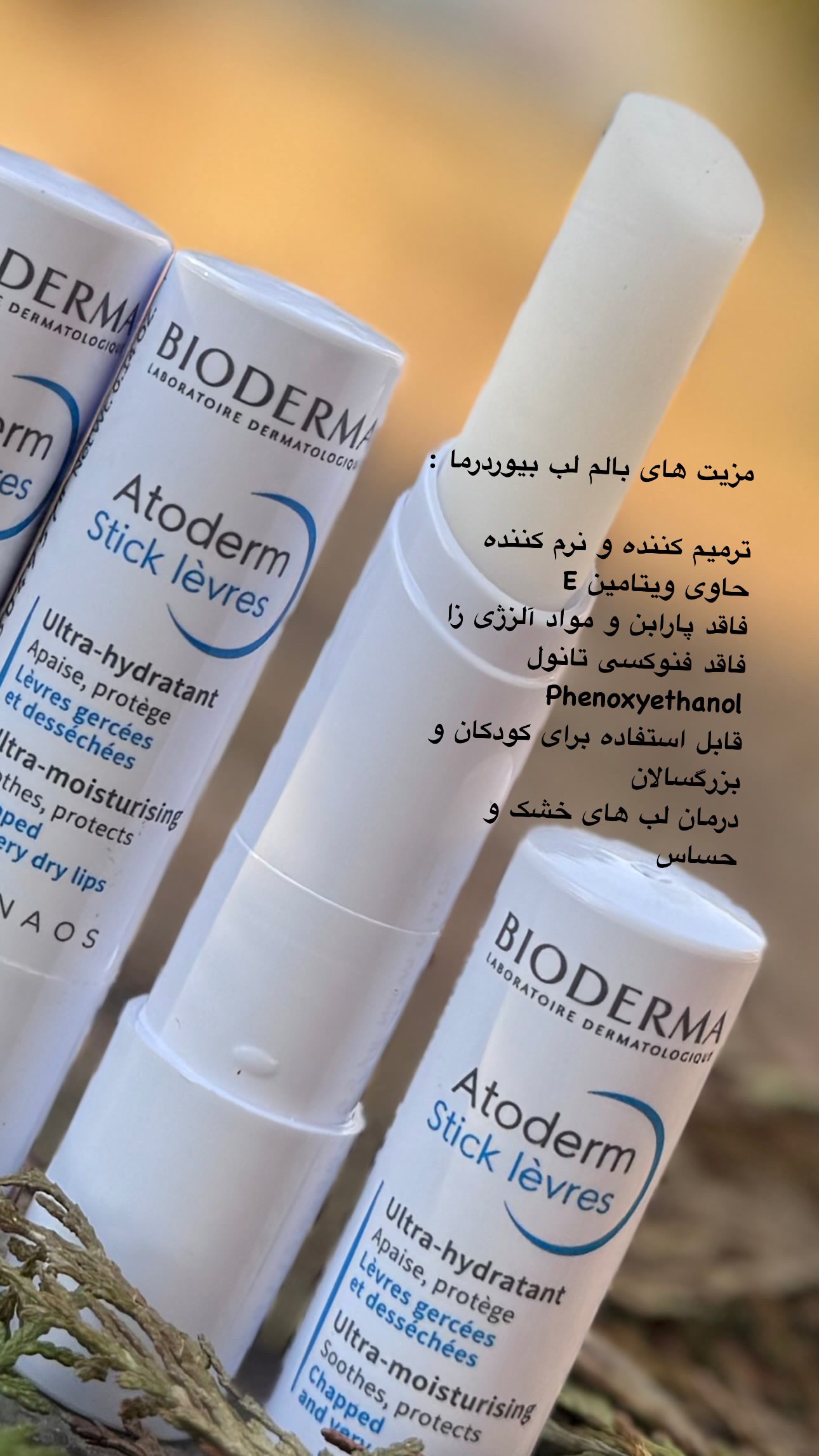 بالم لب استیکی اتودرم بایودرما 4 گرم