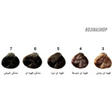 کیت رنگ مو فوری مردانه های اسپیدی حجم ۱۲۰ میل